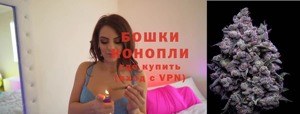 трава Семилуки