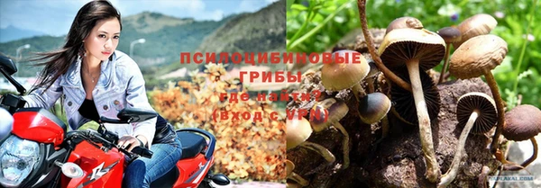 трава Семилуки