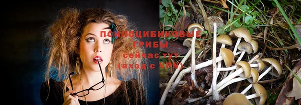 трава Семилуки