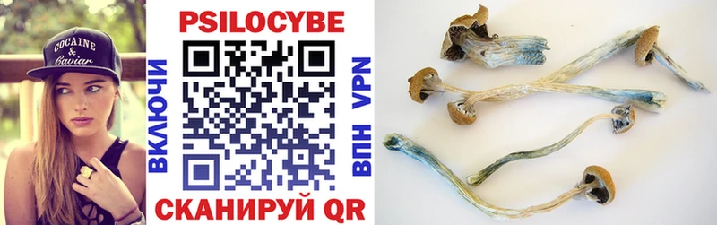 сколько стоит  darknet как зайти  Псилоцибиновые грибы Cubensis  Кандалакша 